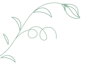 植物の装飾